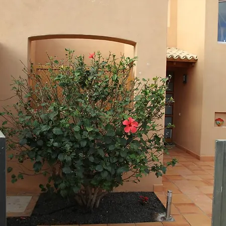 Villa Sur De Tenerife Adeje